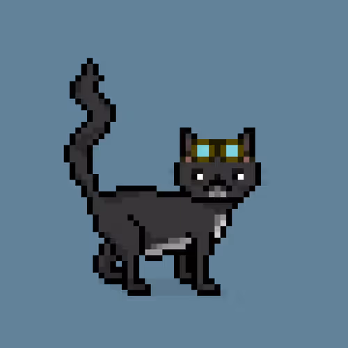 Felinespunks