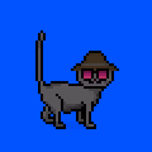 Felinespunks