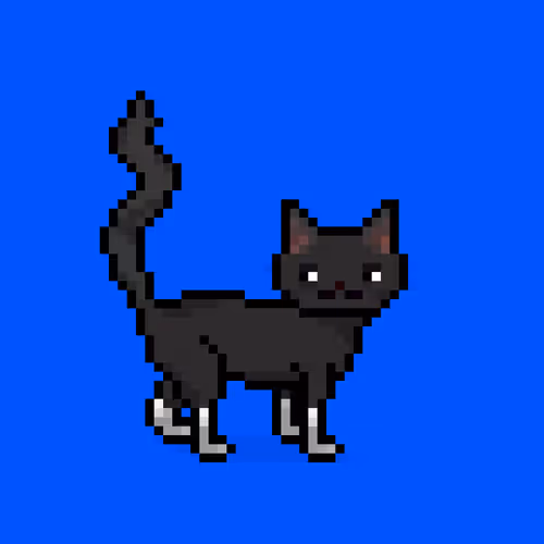 Felinespunks
