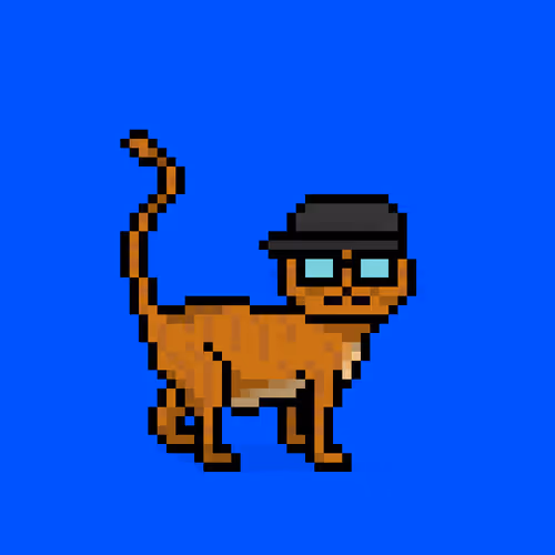 Felinespunks