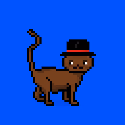 Felinespunks