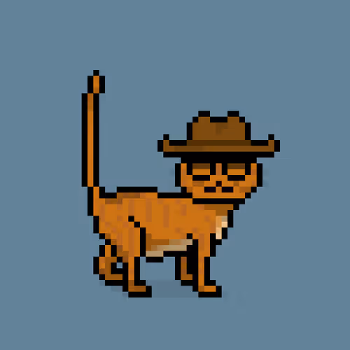 Felinespunks