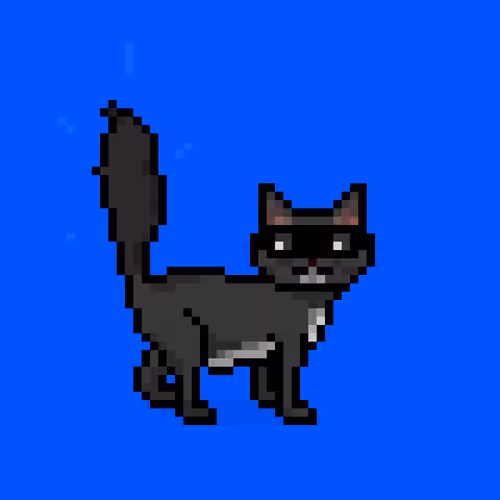 Felinespunks