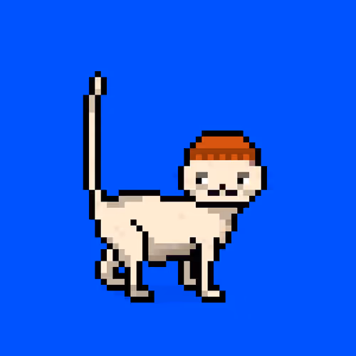 Felinespunks