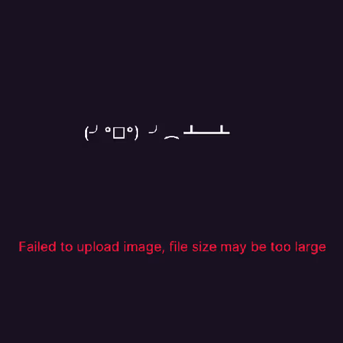Fc Is Fun logo
