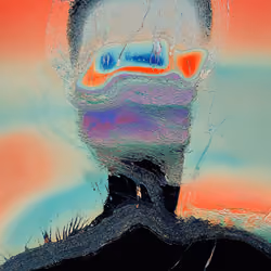 31