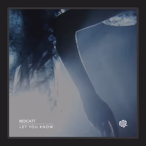 Million Records Redcatt Let You Know