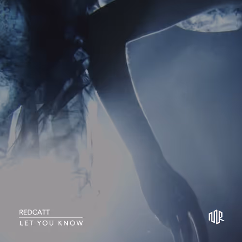Redcatt - Let You Know - Limited #1