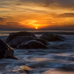 Rodeo posts
