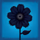 Obsidian Blossom