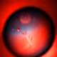 Pupillary Reflection