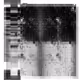 orbital fragments RDX-11