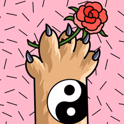556
