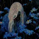 Forget-Me-Not