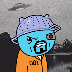 243