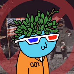 409