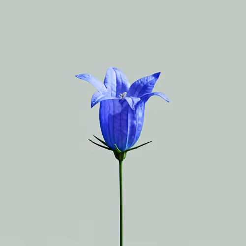 Eco 19