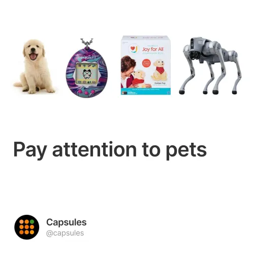 Pay Attention To Pets