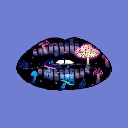 Kiss 41
