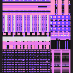 81