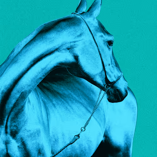 Rodeo Posts 9471
