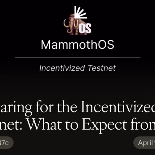 Preparing For The Incentivized Testnet What To Exp