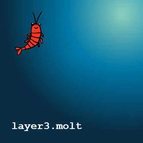 layer3.molt