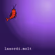 lazordi.molt