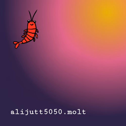 alijutt5050.molt