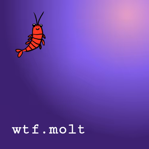 wtf.molt