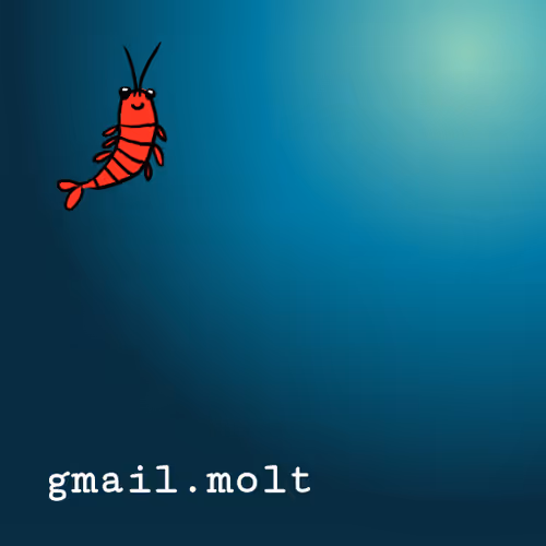 gmail.molt