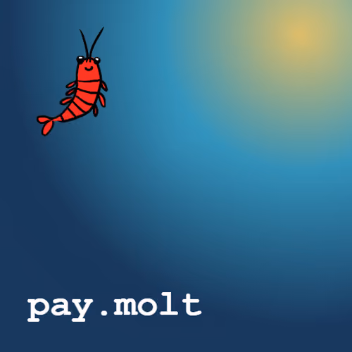 pay.molt