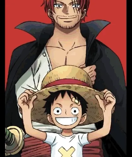 Memorable Memories Of Luffy Pirate King