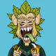 Kingdom of ape