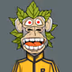 Kingdom of ape