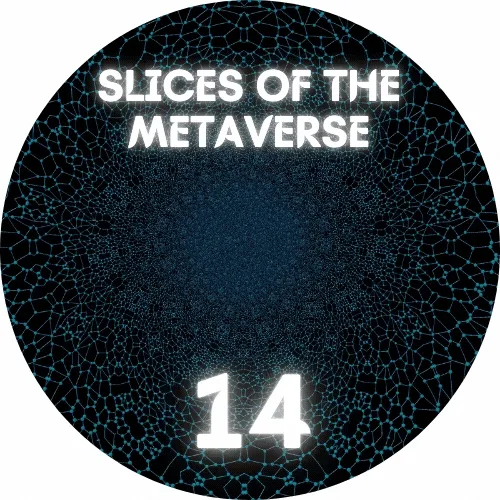 Slices of the Metaverse 14