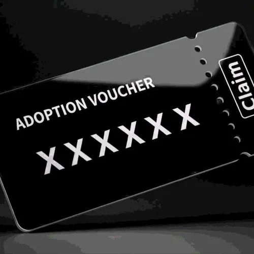 Adoption Vouchers