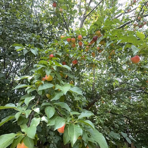 0x5c932576f3f0d872d03aa858ffc6e013145f48d9