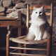 cats has rest