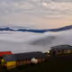 In the mist