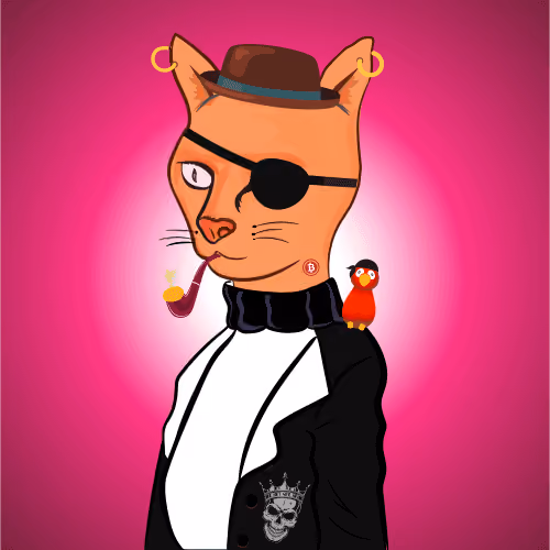 BaseCat #3008