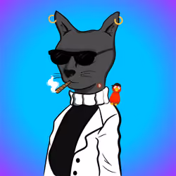 BaseCat #2909