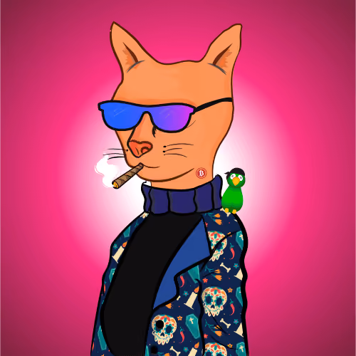 BaseCat #3065