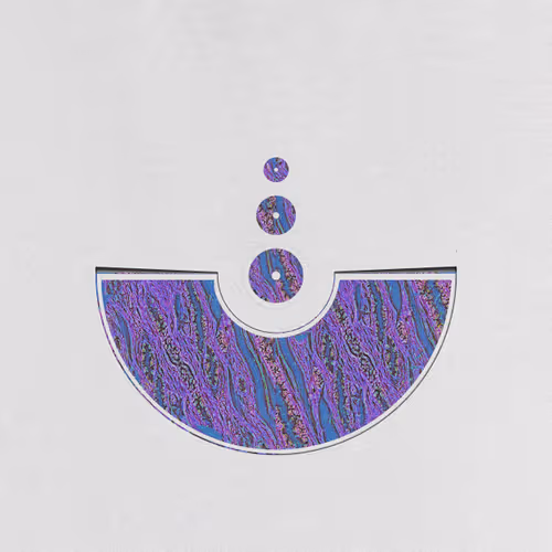 Item #30 Media