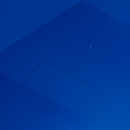 A Blue Open Metaverse