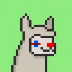 Pacas