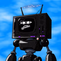 29