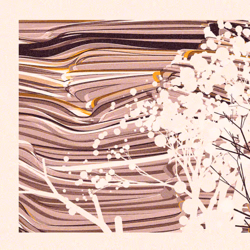 The Blossoms Of Apple Trees Behind The River