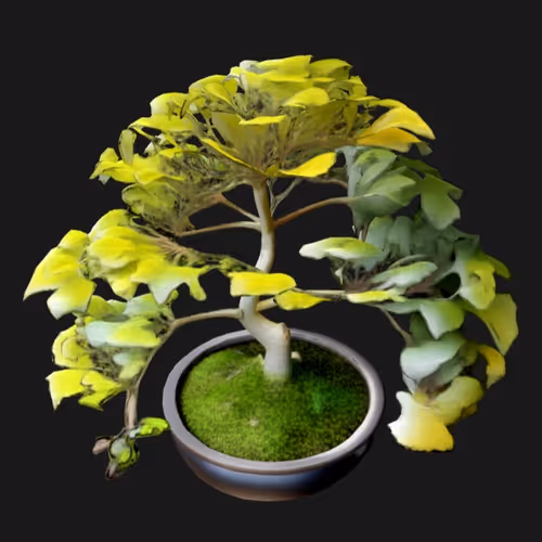 3DBonsai