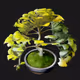 3DBonsai